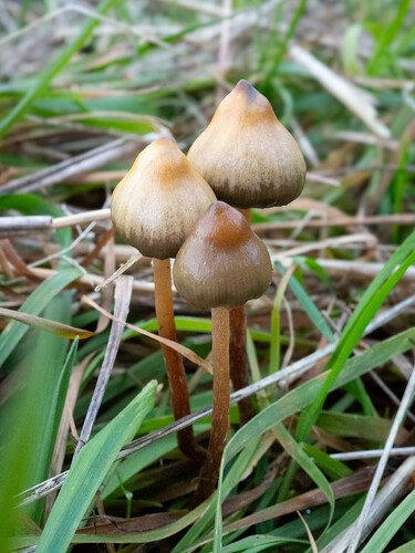 PA050361