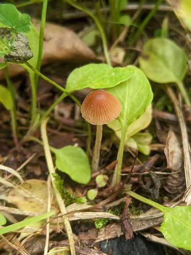 SGCAM_20250627_131717011