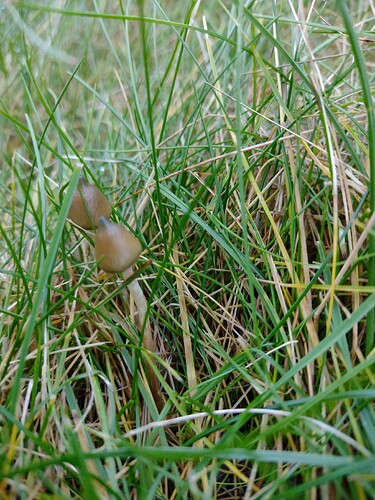 IMG_20251024_162242574