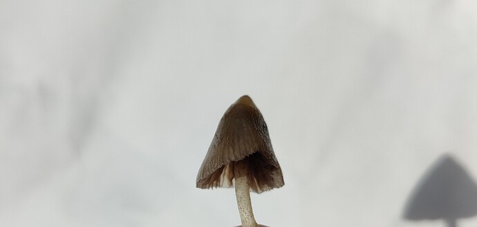 IMG_20230928_130428