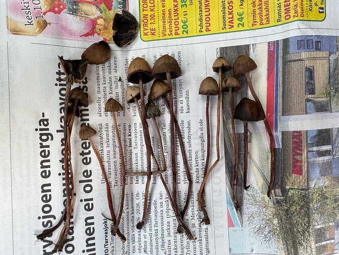 2ED6DD7C-70FD-4EAA-9818-347DB33E3DC1-35453-000009DBB0C8865A