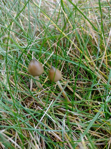 IMG_20251024_162307243