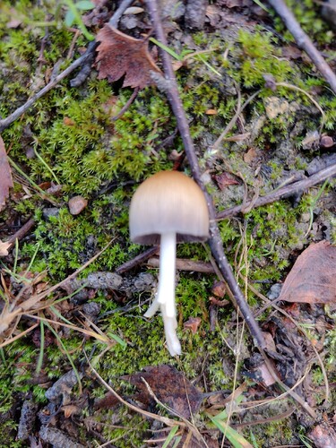 IMG_20251029_154710124