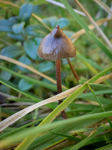 PA070549
