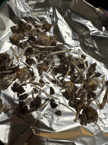 IMG_ADD63081-90A1-4472-A53D-9CE49B0468D3