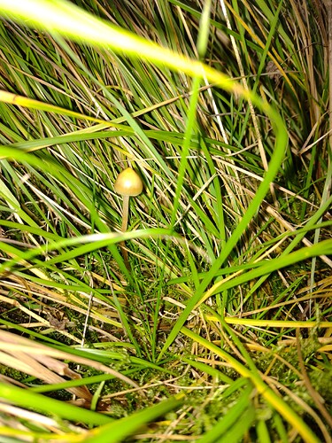 IMG_20251011_182906135