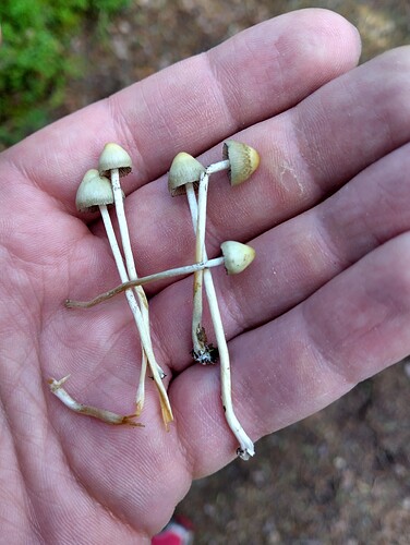 IMG_20250831_120746_HDR