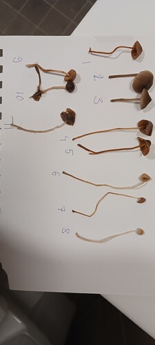 20260926_202145