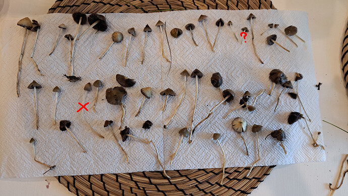 f144f54945cbd1b388fd62a219ce8b58e78ee463