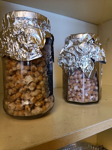 IMG_20230225_134208_855