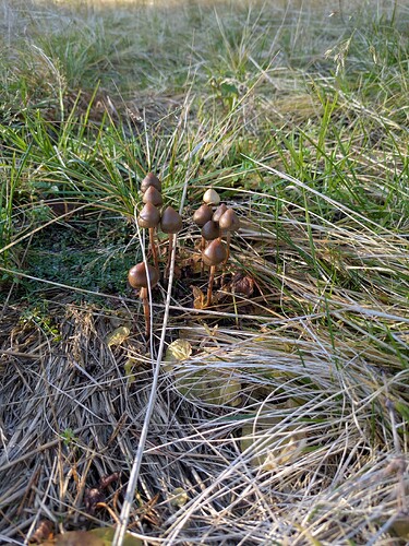 PXL_20251017_113033783