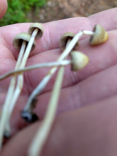 IMG_20250831_120752_HDR