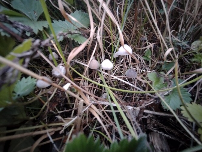 IMG_20250926_185106067