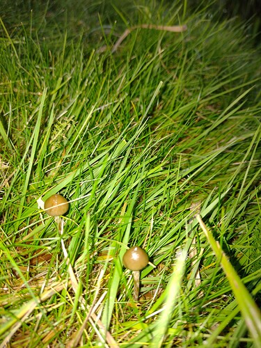 IMG_20251016_181457024