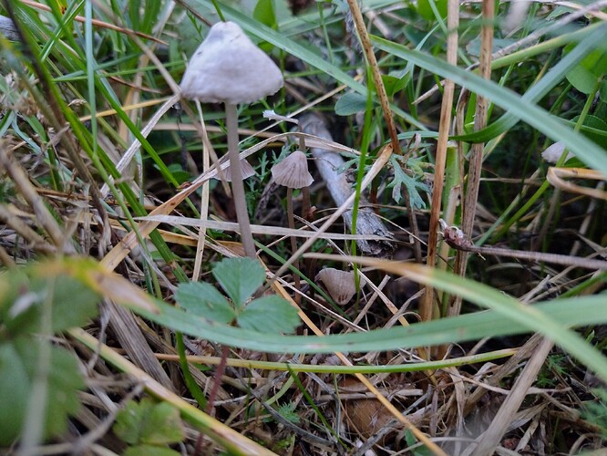 IMG_20250926_184753097_HDR