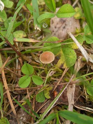 SGCAM_20250708_123913706