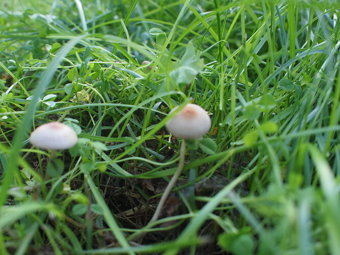 P1017103