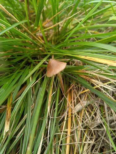 SGCAM_20250906_112238622