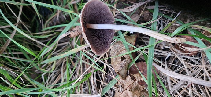 20251002_185402_processed_by_imagy