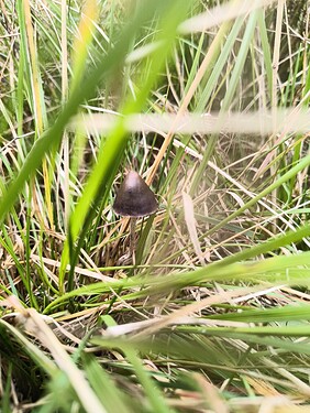 IMG_20250921_143226593